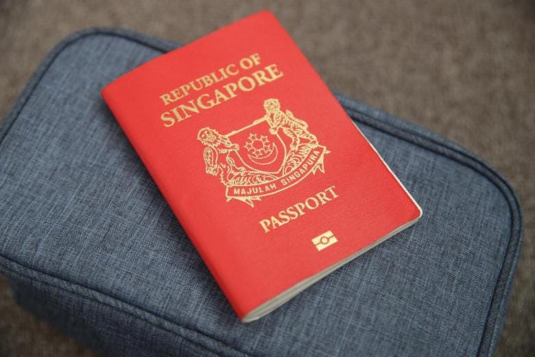 Singapore's Tax Appeal for Immigration