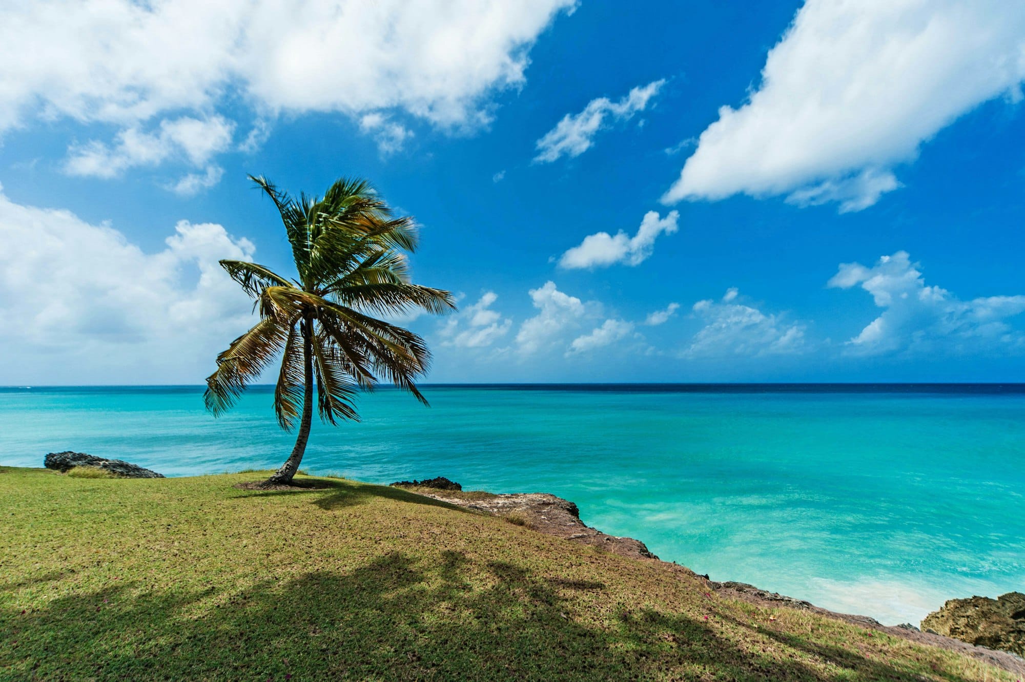 Barbados’ Tax Policies for Digital Nomads