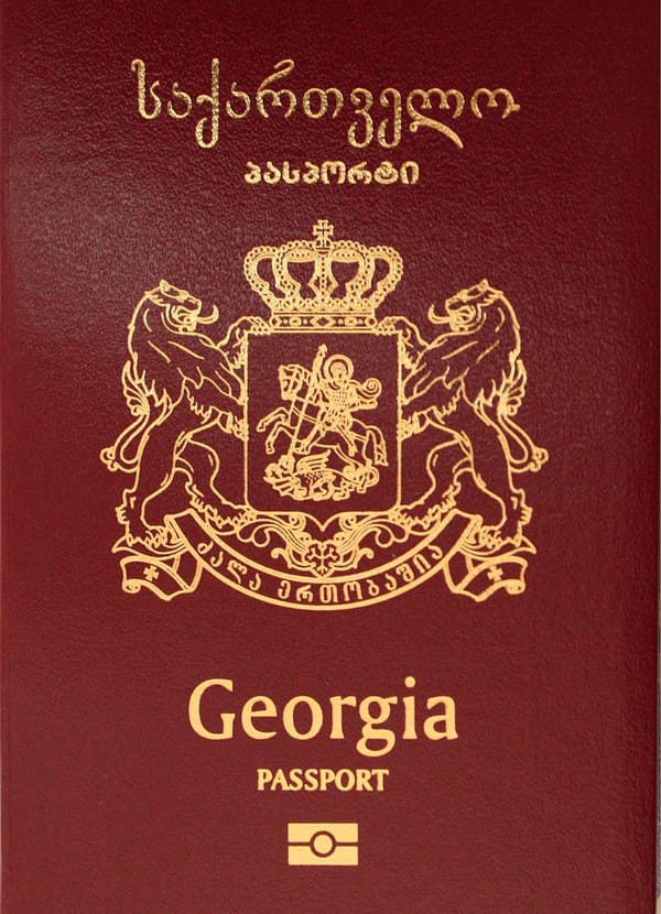 The Tax Appeal of Georgia's Investment Residency