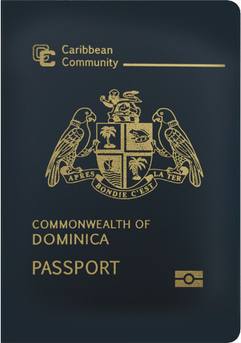 Tax Appeal of Dominican Immigration