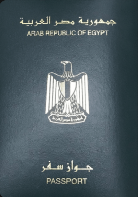 Tax Appeal of Egyptian Immigration