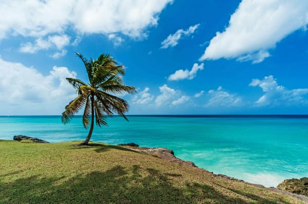 Barbados’ Tax Policies for Digital Nomads